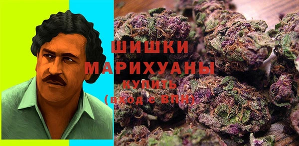 PSILOCYBIN Алексеевка
