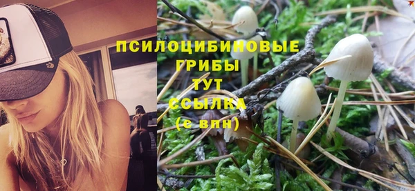 трава Алексин