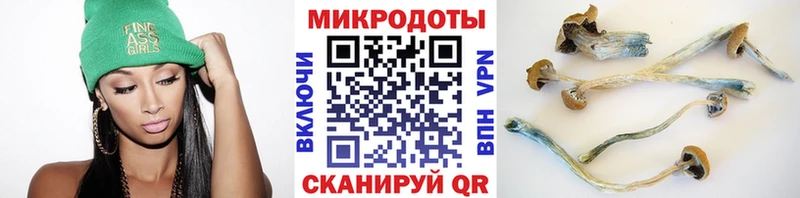 наркотики  Кочубеевское  ссылка на мегу как войти  Псилоцибиновые грибы Psilocybine cubensis 