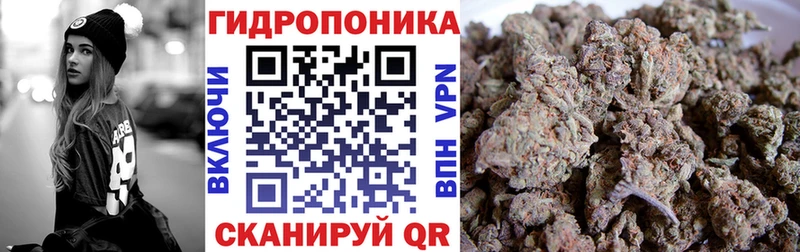 Шишки марихуана марихуана  Кочубеевское 